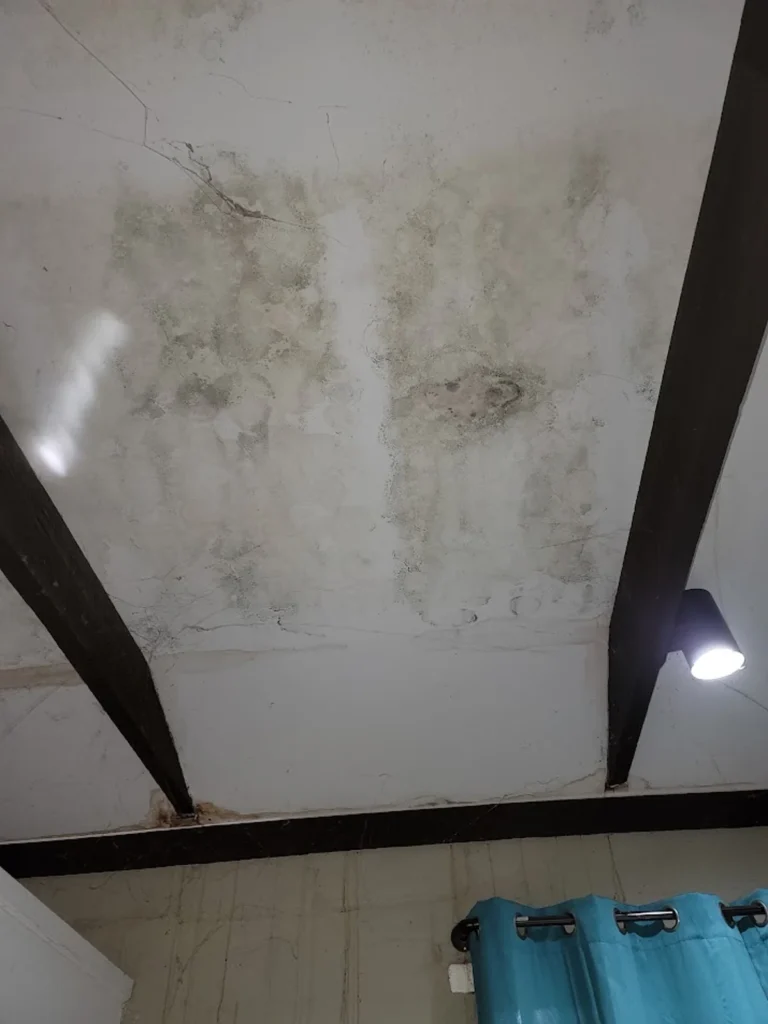 Services 8 Mold remediation and ceiling repair at 1402 Sargent Ave Atlanta GA | Above All Handyman