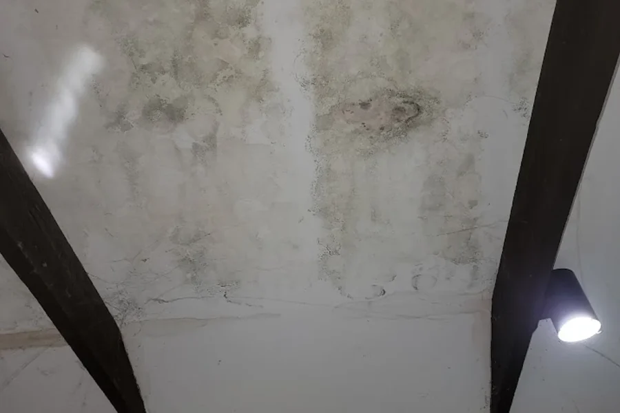 Mold remediation and ceiling repair at 1402 Sargent Ave Atlanta GA | Above All Handyman